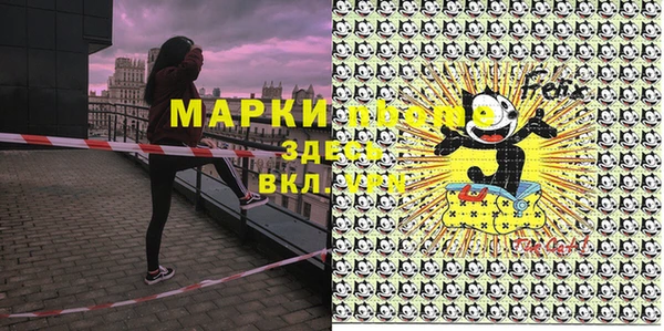 прущие грибы Алзамай